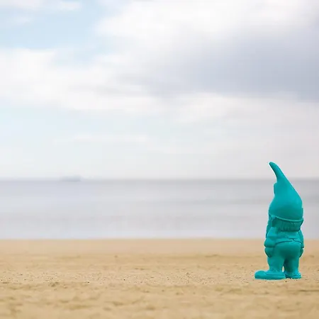Blue Buddy - Hamptons
